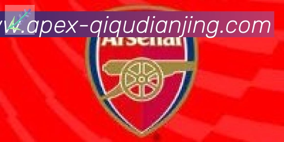 奇趣电竞合作伙伴